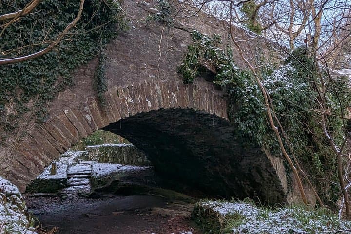 Derry to Giant's Causeway Private Car & Rail Tour — Roe Valley Folklore and Coastal Views photo 3