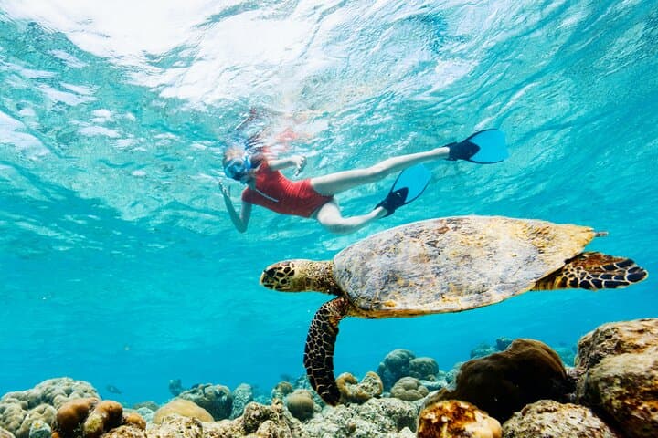 Akumal Snorkeling & Hidden Cenote: Private Reef and Underground River Adventure