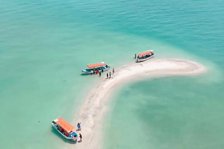 Private Dolphin Watching & Sandbank Tour from Isla Aguada, Campeche photo 4