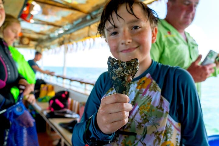 Shark Tooth Snorkeling & Huka Dive in Venice FL — Boneyard Boat Adventure photo 2