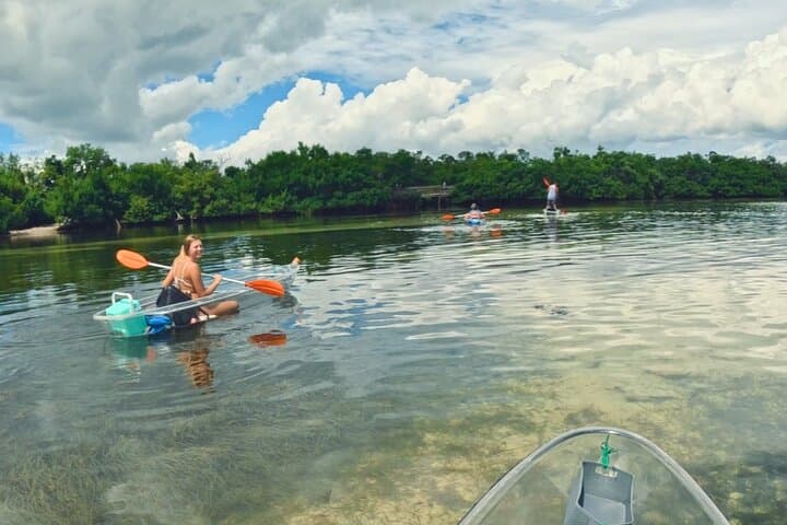 Clear Kayak Beach-Hopping Adventure on Sarasota's Gulf Coast photo 6