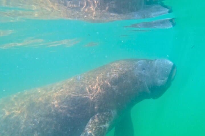Clear Kayak Beach-Hopping Adventure on Sarasota's Gulf Coast photo 4