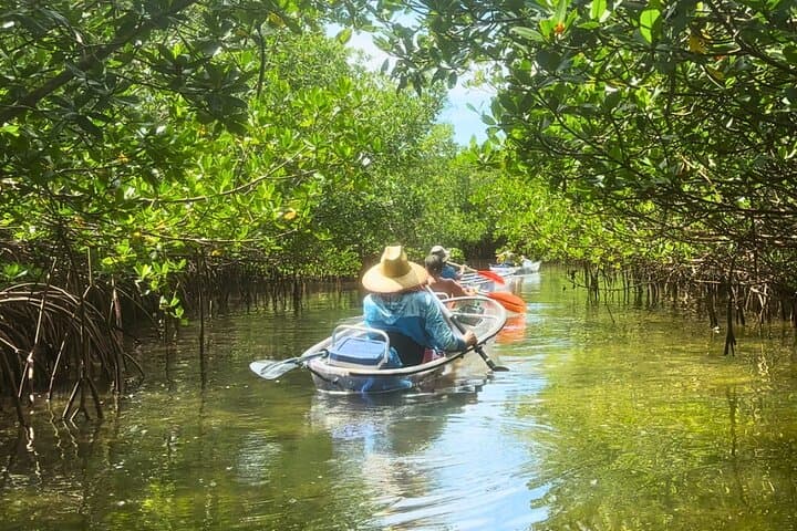Clear Kayak Beach-Hopping Adventure on Sarasota's Gulf Coast photo 2