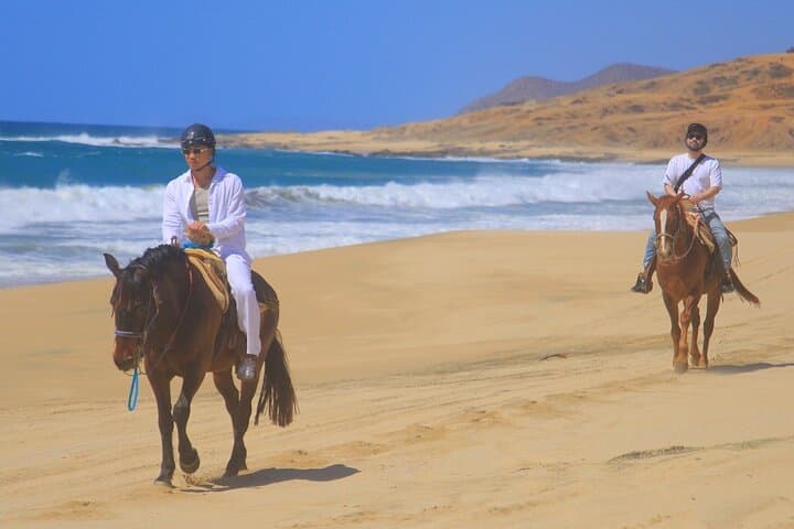 Los Cabos Horseback Riding Adventure: Beach & Desert Ride with Tequila Tasting photo 3