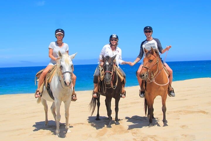 Los Cabos Horseback Riding Adventure: Beach & Desert Ride with Tequila Tasting photo 4