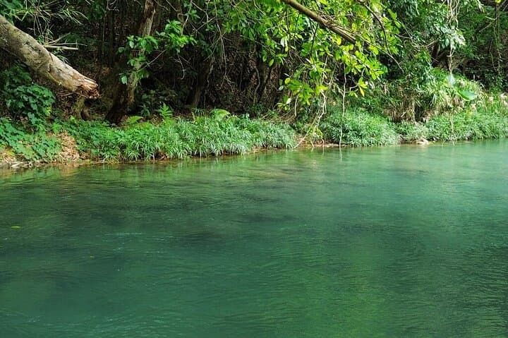 Bamboo Rafting & Horseback Ride 'N' Swim from Montego Bay photo 4