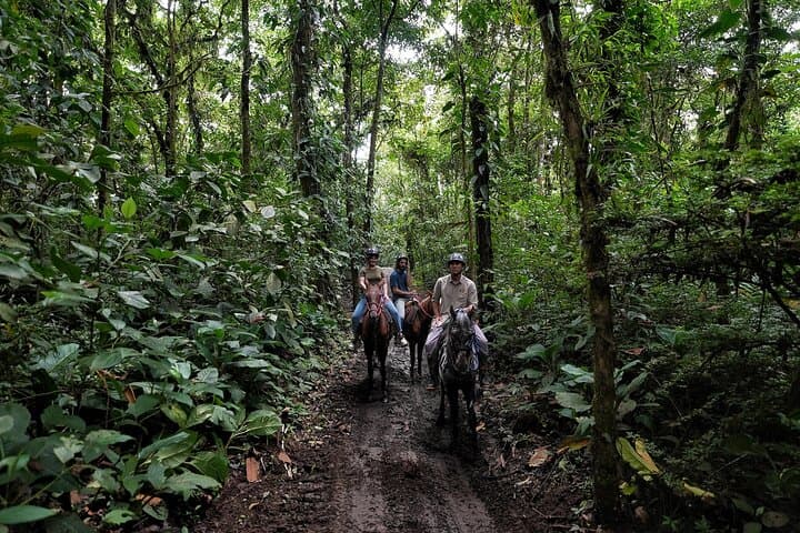 Horseback Riding and Volcanic Clay Wellness in Arenal (La Fortuna) photo 3