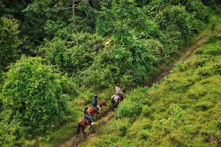Horseback Riding and Volcanic Clay Wellness in Arenal (La Fortuna) photo 6