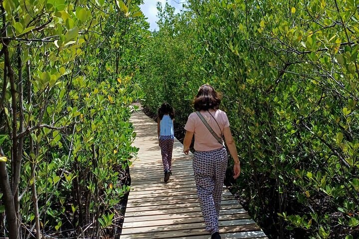Vanilla Circuit: Mangrove Walk, Producer Visit and Wild Beach on Martinique's Caravelle Peninsula photo 2