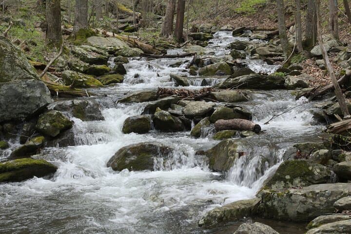 Self-Guided Skyline Drive Audio Tour — Scenic Driving Through Shenandoah National Park photo 6