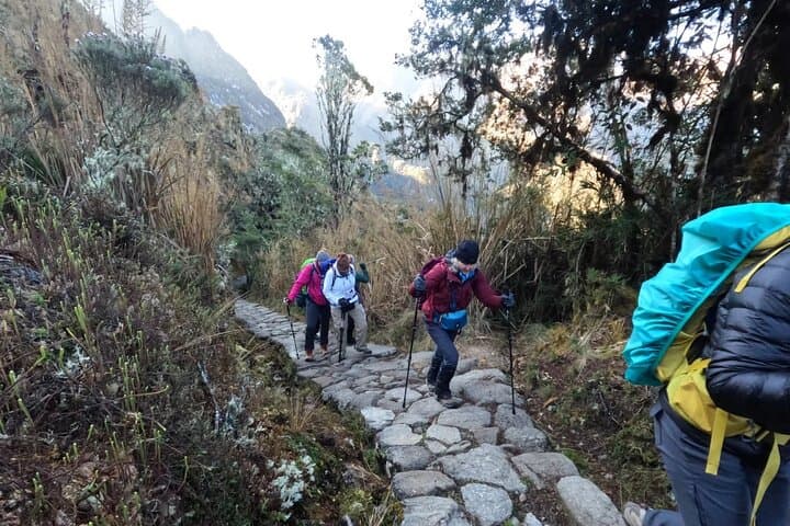 2-Day Short Inca Trail to Machu Picchu: Hike the Sun Gate into the Citadel photo 6