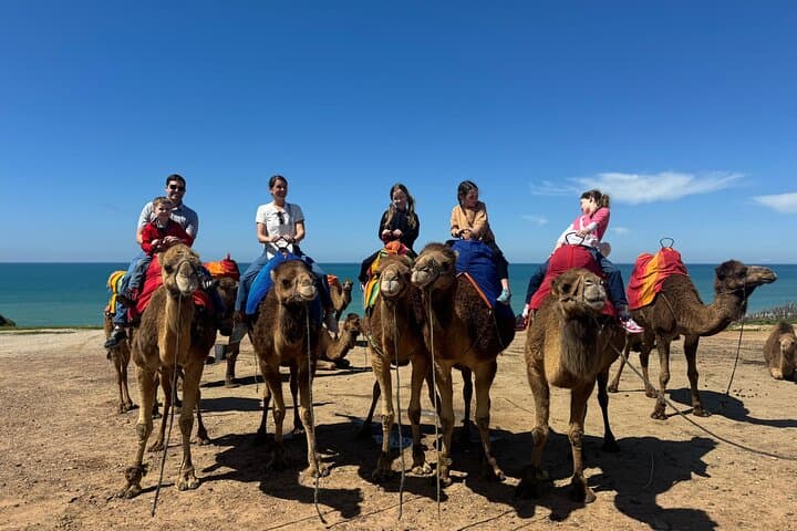 Sunset Camel Ride in Tangier: Cap Spartel & Hercules Caves Beach Experience photo 5