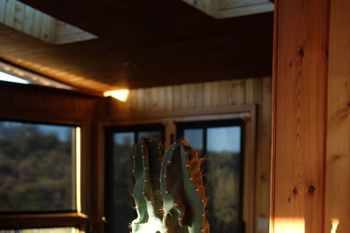 overnight-desert-healing-retreat-soul-dusk-palm-springs photo 5