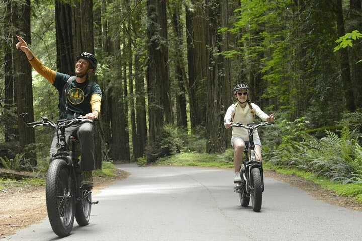 E-Bike the Avenue of the Giants: 4-Hour Redwood Forest Tour photo 5
