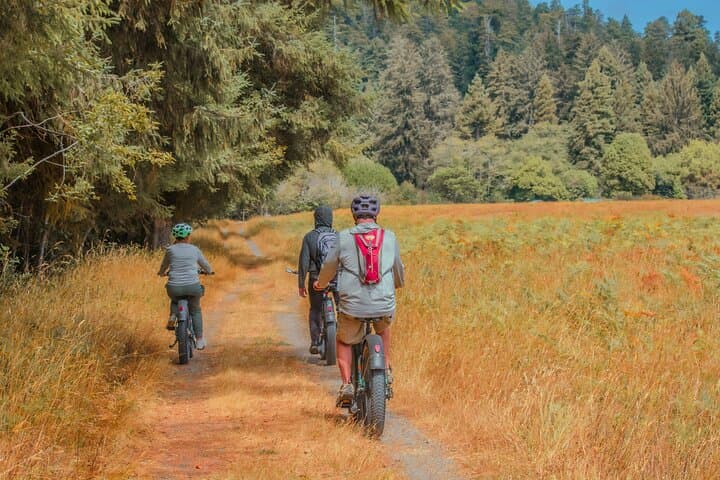 Explore Redwood National Park and Prairie Creek on a Guided 4-Hour E-Bike Tour