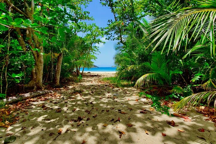 Private St Thomas Island Adventure with Beach and Local Flavors