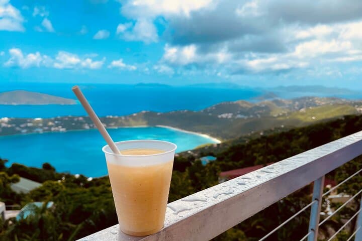 Private St Thomas Island Adventure with Beach and Local Flavors photo 3