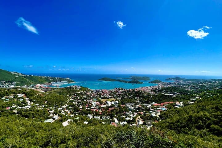 Private St Thomas Island Adventure with Beach and Local Flavors photo 4