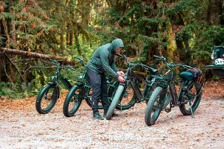 Explore Redwood National Park and Prairie Creek on a Guided 4-Hour E-Bike Tour photo 2
