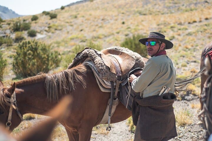 Cross the Andes on Horseback: 5-Day Gaucho Expedition to Pichi Trolón photo 6
