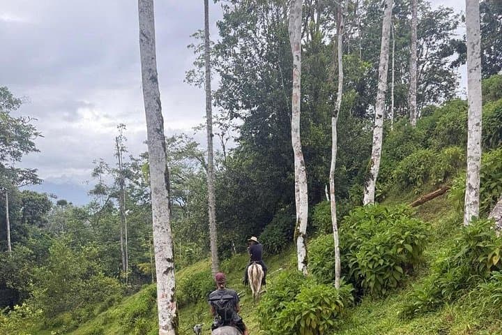 Horseback Riding in Costa Rica Jungle to Maratopia Butterfly Garden