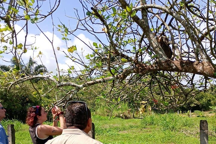 Horseback Riding in Costa Rica Jungle to Maratopia Butterfly Garden photo 3