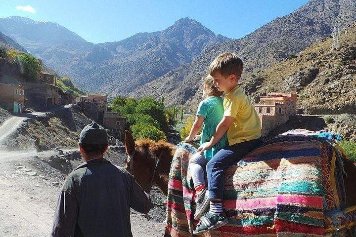 Private Atlas Mountains Day Trip from Marrakech: Berber Villages, Waterfalls & Camel Rides photo 3