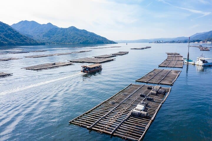 Miyajima Guided Tour & Oyster Farm Cruise — Itsukushima Shrine to Shellfish Feast photo 4