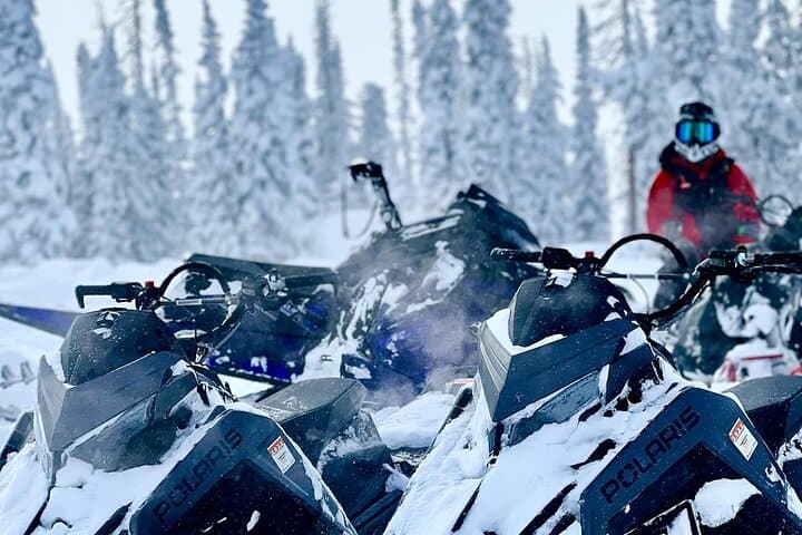 Private Beginner Snowmobile Backcountry Adventure in Steamboat Springs photo 3