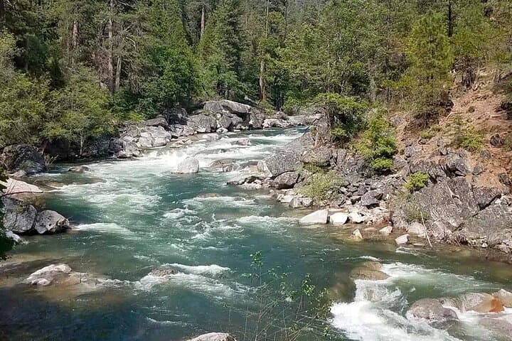 Calaveras Big Trees State Park Day Tour: Giant Sequoias, Gold Rush Roads, and Stanislaus River Walks photo 2
