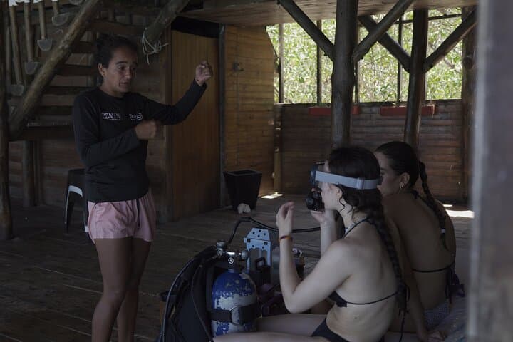 cartagena-exclusive-diving-reefs-shipwrecks-colombian-caribbean photo 2