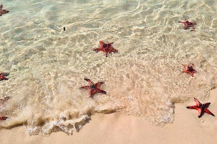 Private North Phu Quoc Discovery Tour — Full-Day North Island Highlights photo 2