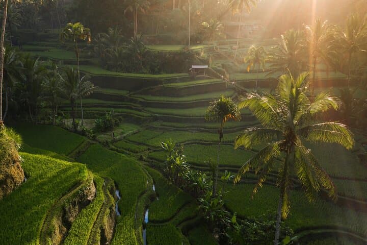 7-Day Bali and Gili Islands Adventure: Beaches, Temples & Snorkeling photo 3