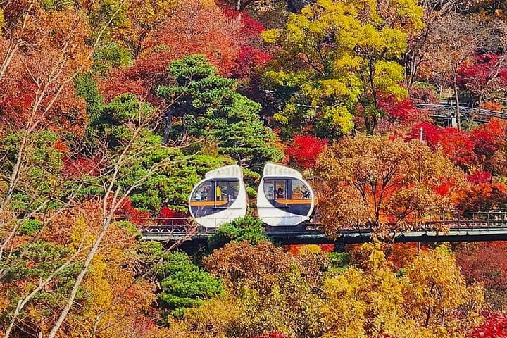 Hwadam Botanic Garden, Namhansanseong & Korean Folk Village Day Trip from Seoul photo 4