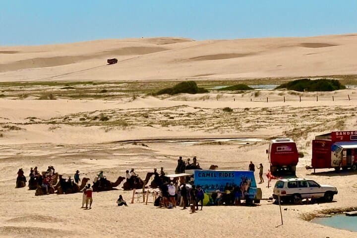 Anna Bay & Nelson Bay Day Tour: Stockton Dunes, Sandboarding and Dolphin Cruise photo 3