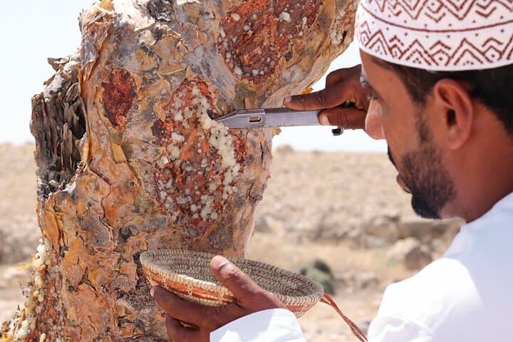 Exploring the Rub al Khali: A Full-Day Sunset Safari Into Arabia’s Empty Quarter photo 6