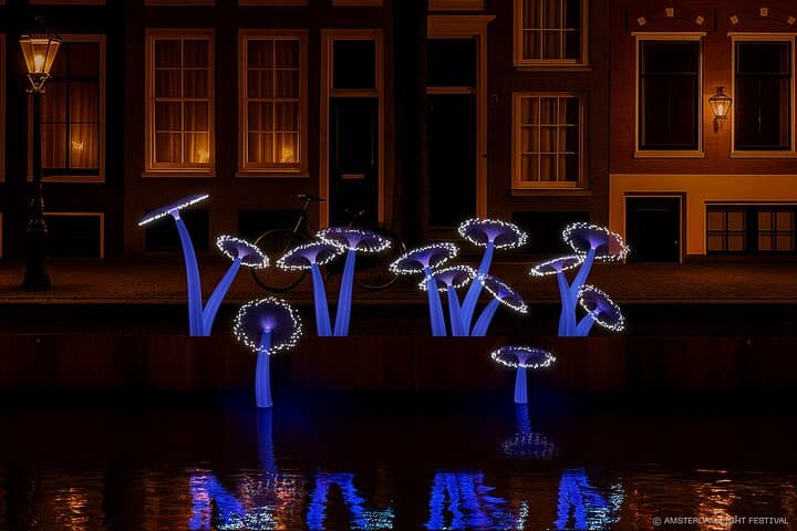 Amsterdam Light Festival Open Boat Cruise (Unlimited Drinks Option) photo 3