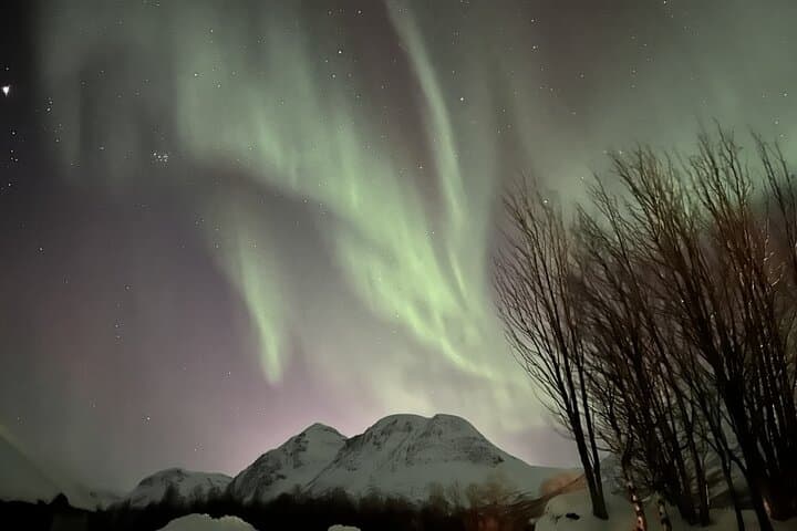 Northern Lights Basecamp in Tromsø: Aurora Viewing with Local Meal & Sámi Lavvu photo 4