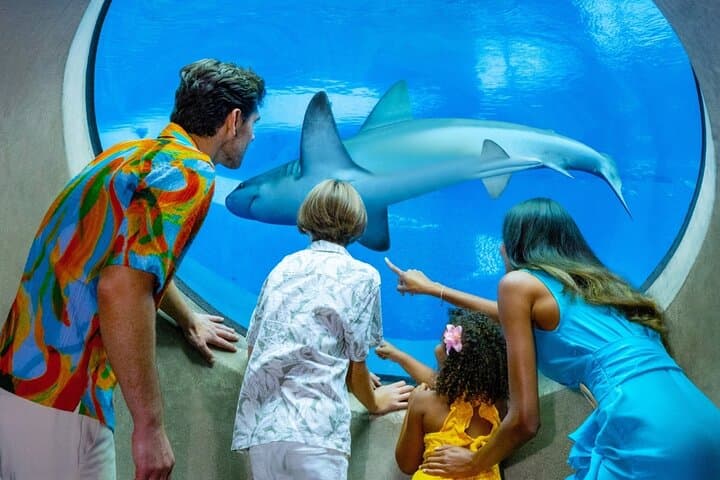 Passin Miami: 30+ Attractions, eSIM & 1‑Way Airport Transfer — City Pass Guide photo 4