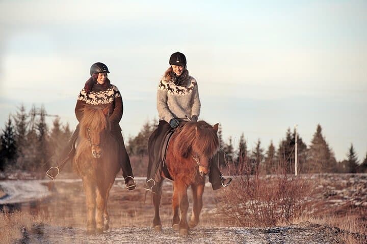 Private Icelandic Horseback Ride from Reykjavík — Tailored for Every Skill Level photo 2
