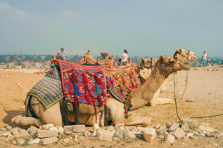 Private Half-Day Cairo & Giza Tour — Pyramids, Sphinx and City Highlights photo 4