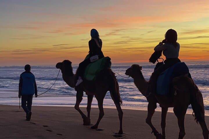 Sunset Camel Ride in Tangier: Cap Spartel & Hercules Caves Beach Experience