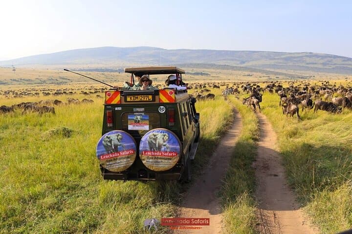 Three-Day Budget Safari in Masai Mara: 4x4 Game Drives, Camps & Migration Highlights photo 2