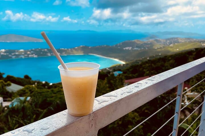 Private St Thomas Island Adventure with Beach and Local Flavors photo 6