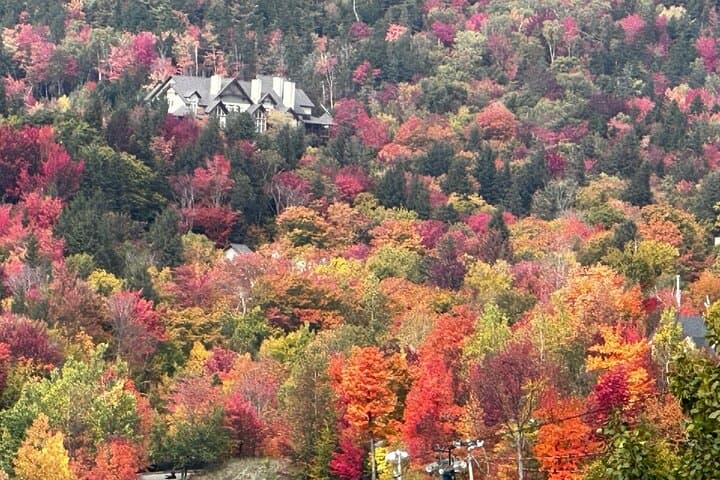 Mont-Tremblant Winter Escape: Private Ski Resort and Village Day Tour from Montreal