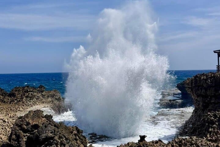 Private West Curaçao Beaches, Nature & Countryside Half-Day Tour