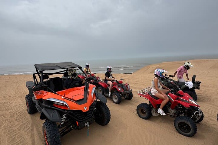 Essaouira Coastal Buggy Adventure: 2‑Hour Dunes, Beaches & Argan Forests