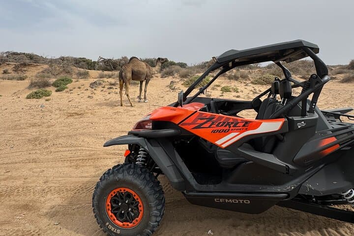 Essaouira Coastal Buggy Adventure: 2‑Hour Dunes, Beaches & Argan Forests photo 5