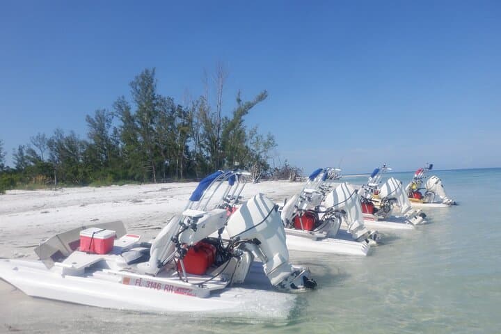 Drive-a-Craigcat on Anna Maria Island: Fast Gulf Tours for Dolphins & Manatees photo 1