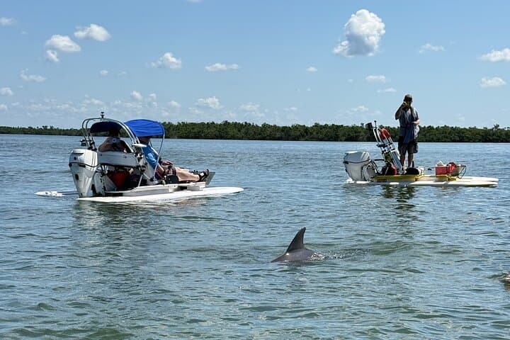 Drive-a-Craigcat on Anna Maria Island: Fast Gulf Tours for Dolphins & Manatees photo 2